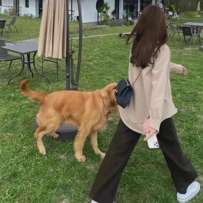 总统夫人